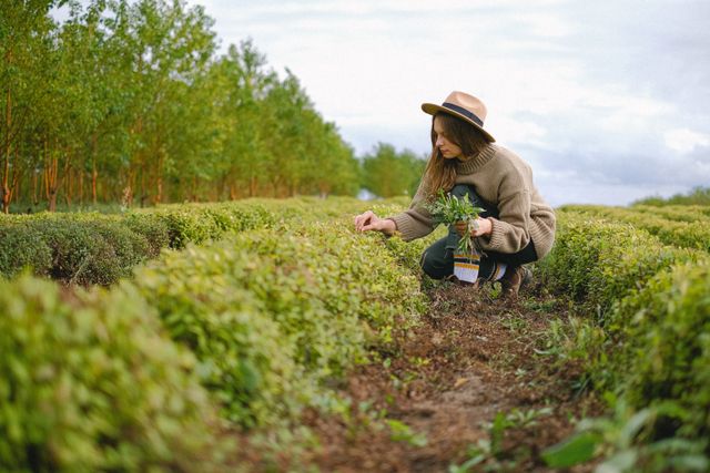 Freshly harvested produce from garden soil